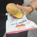 정혜언니 | 그럼에도 속삭이던 조그마한 사랑과 마음들에게
