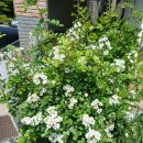 화이트팜(주) 이미지