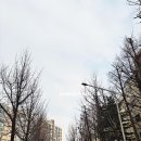 압구정리얼티부동산중개 이미지