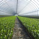 최용환농장 이미지