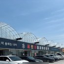 주말 드라이브 코스 용인 에르베 플라워 아울렛 식물 쇼핑 추천