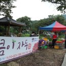 익산 최북단 녹차밭, 한옥마을, 미륵사지, 교도소세트장, 나바위성당, 강경 할미젓집 - 익산 산들강웅포...