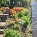 월성박씨종중묘역 이미지