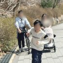 구루맘마 이미지