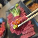 연육 | 호평동 맛집 별난연육 확장 이전 후 다녀온 후기 육회 육사시미가 정말 신선했던 남양주 맛집