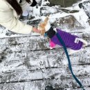 발왕산 관광케이블카 코스 | 강원도 평창 겨울여행 애견동반가능 발왕산 관광케이블카 모나용평 방문후기