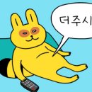어펄슨(A person)