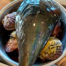 소래로 | 인천 소래포구 무한리필 도깨비조개구이 단골 후기 또간집