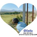 제이드성형외과의원 이미지