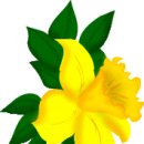 꽃사랑FLOWER