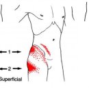 바르다한의원 이미지