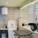 피터펫카페 일산점 이미지