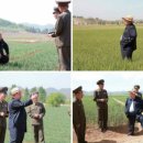 기일농장 이미지