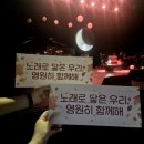 사랑가B | 20251026김용준의 닿음 소극장 콘서트 막콘 관람 후기🦖💚