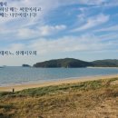 씨앗과나무