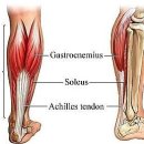 근육다짐 이미지