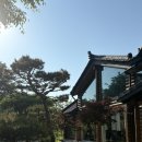 [내돈내산 후기] &lt;시카사&gt; 주말에 다녀온 일본 빈티지 카페 내돈내산 솔직후기