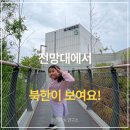 미니스톱 김포애기봉점 | 김포 아이랑 가볼만한 곳 애기봉 생태공원 예약 입장료 체험 후기