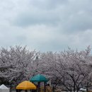 사가정 센트럴 아이파크 | 상봉역 · 사가정역 브리핑 | 사가정센트럴아이파크 · 상봉더샵퍼스트월드 후기