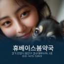 휴베이스 봄약국 이미지