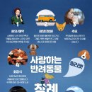 릴리펫 이미지