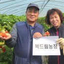 김정애농장 뉴시스