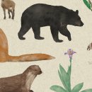 도도 Grooming 이미지