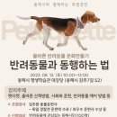 동해시-12 이미지