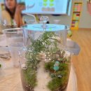 가촌초등학교 병설유치원 이미지