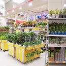 (주)이마트영등포점 이미지