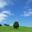 하루 피트니스 이미지