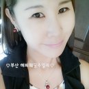 산호진주 이미지