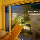 삼박한집 이미지