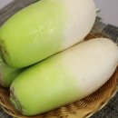 무 쇼핑하우