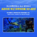 부산관광공사 노동조합 | 꼭 해봐야 할 부산 한달살기 숙소 및 예약플랫폼 추천