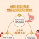 아삭한 연근조림 만드는 법 쫀득한 연근조림 레시피 연근요리 이미지