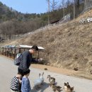후니아이 네이버블로그