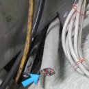 롯데캐슬구내식당
