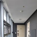 체크 인 제주 이미지