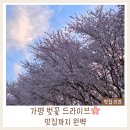 이오공돌짜장 | 가평 벚꽃 드라이브 코스 추천│청평돌짜장 내돈내산 후기