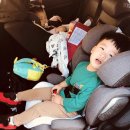 제주라온AD | 10월 12일~13일 제주 카시트,유모차 대여(제주 해피렌트카 후기)
