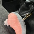 모아레포츠타운 사우나 | 1박 2일 삼척 여행