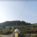 조정현농장 이미지