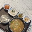 임신기록3. 16주차 (일본 후쿠오카 여행)