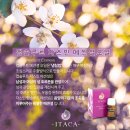 스킨엠디코스 - 횡성군 강변로현천1길 23-11 | 스킨엠디코스