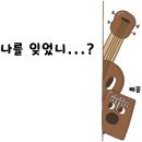 칼림바&우쿠렐레 이미지