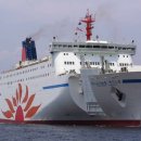 썬플라워 이미지