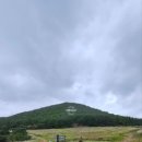 더쎈제주영어교육도시공인중개사사무소 이미지