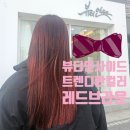 포항 양덕동 미용실 뷰티인사이드 핫한 레드브라운 그라데이션 염색 후기