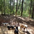 황토대중탕 이미지